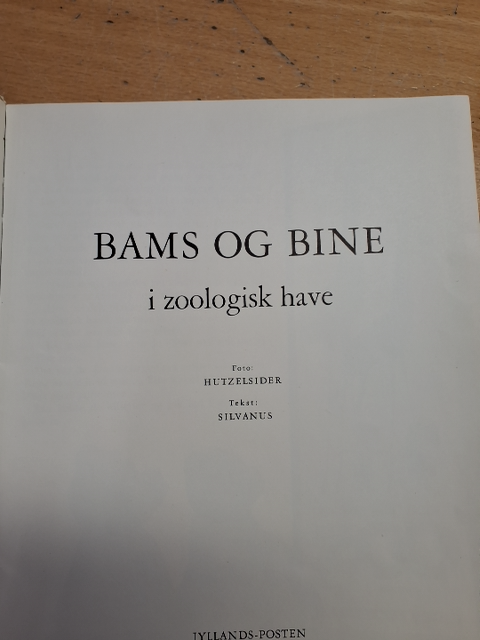 Bams og Bine fra,Jyllands posten