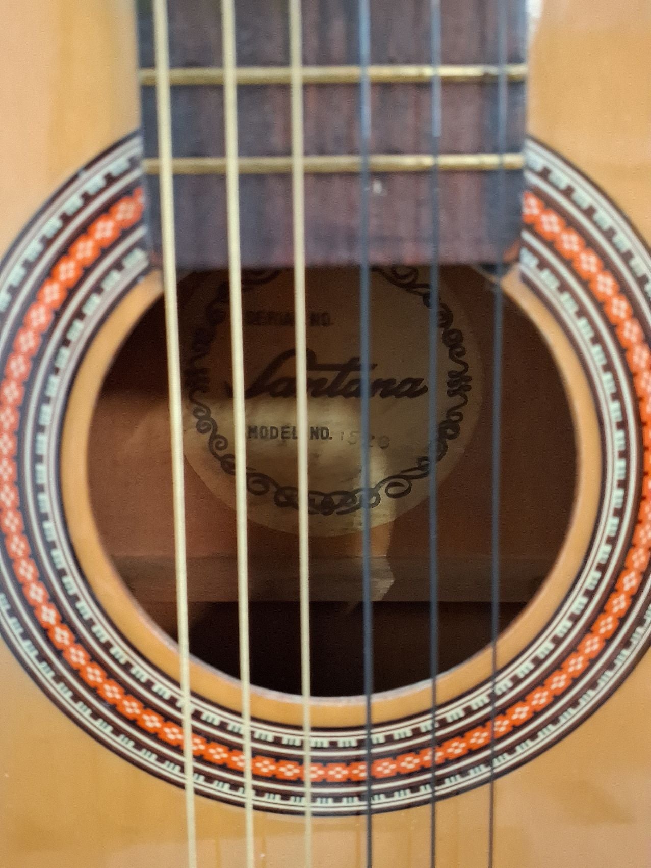 Guitar