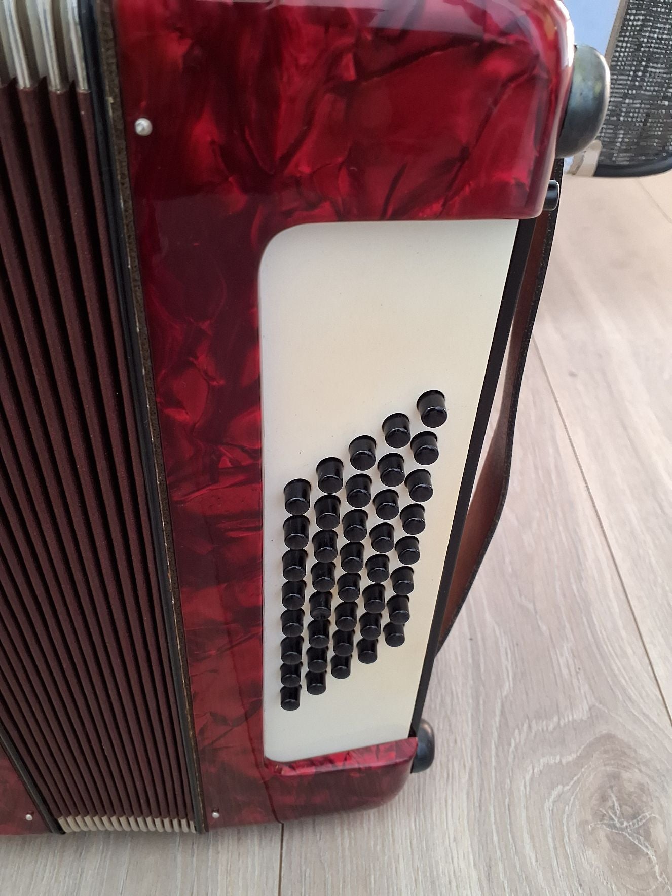 Harmonika junior