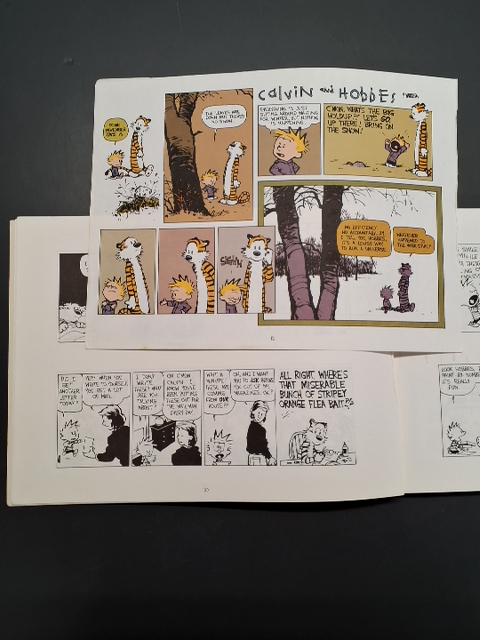 Homicidal Psycho Jungle Cat A Calvin and Hobbes collection