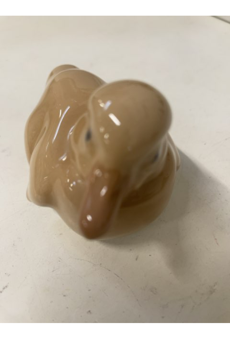 Ælling Bing og Grøndahl