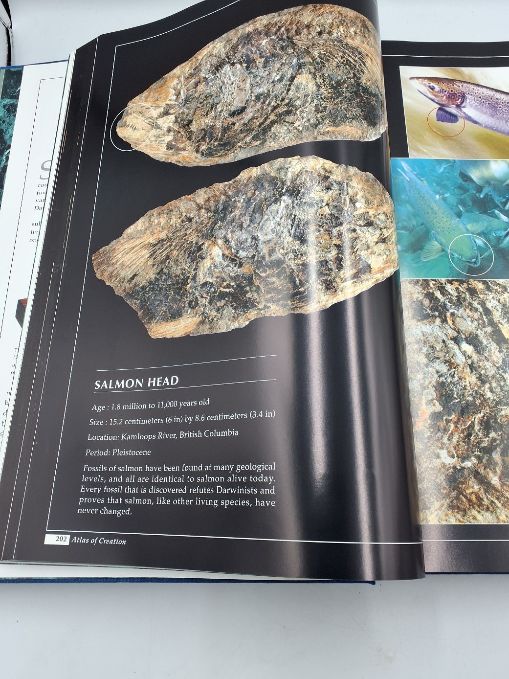 Atlas of Creation 4 edition