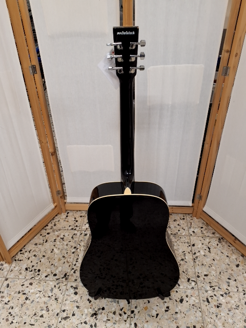Sant Guitar Type: AC-84
