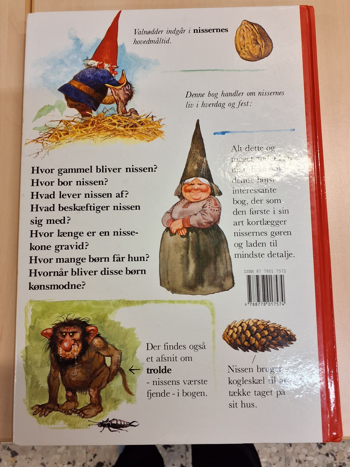 Nisser i hverdag og fest