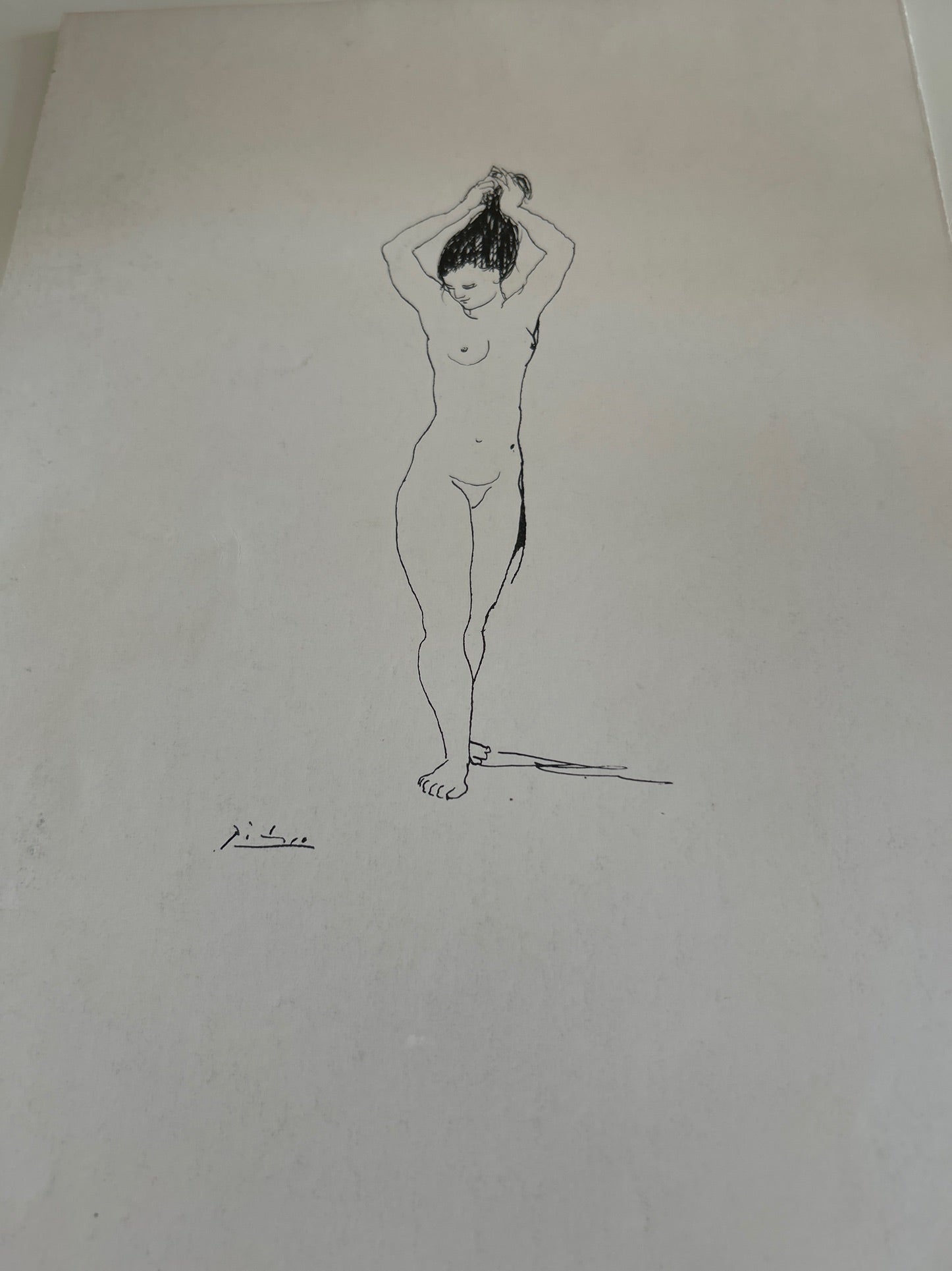 Fra Renoir til Villon