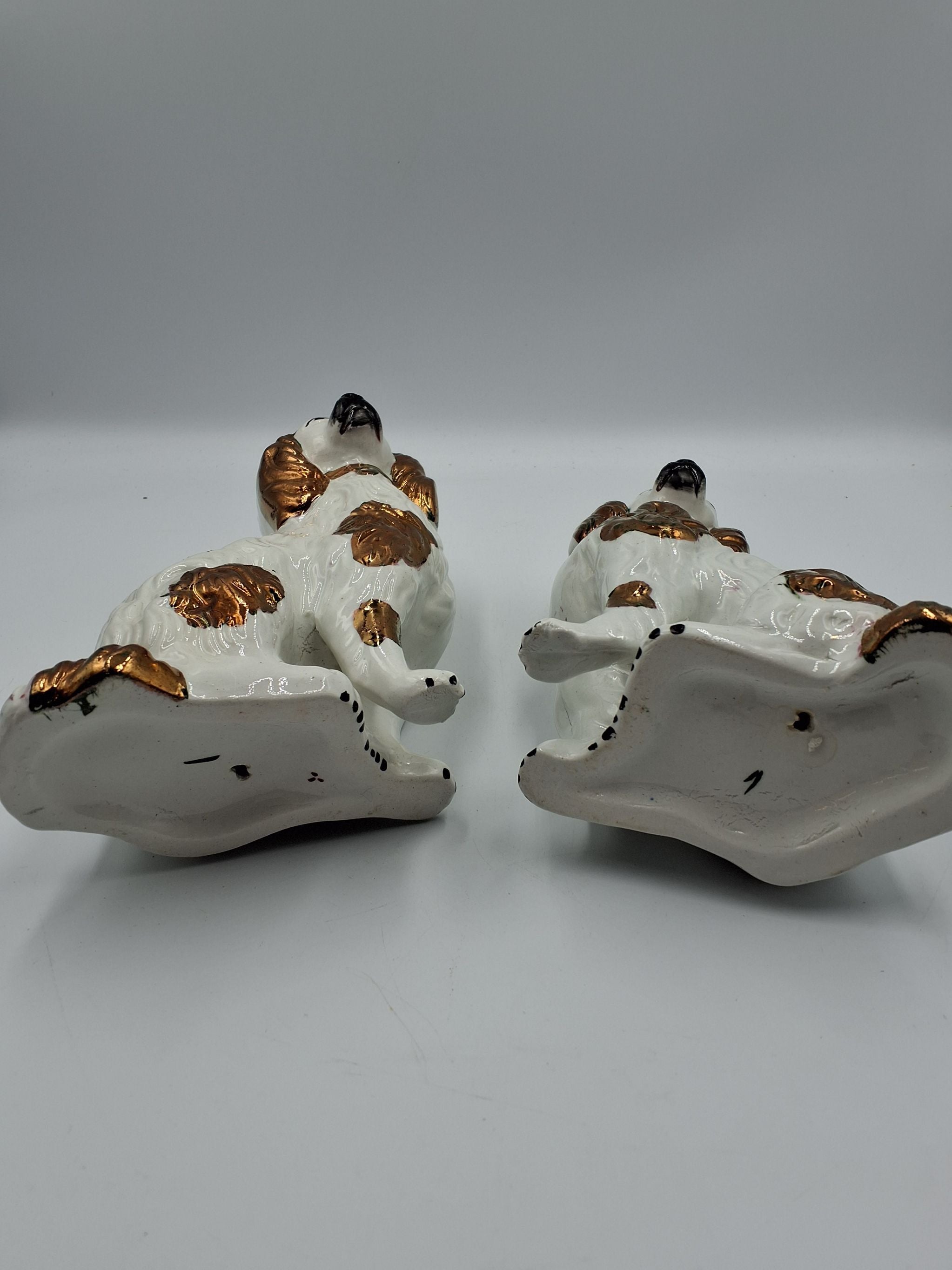 2 Straffordshire hunde