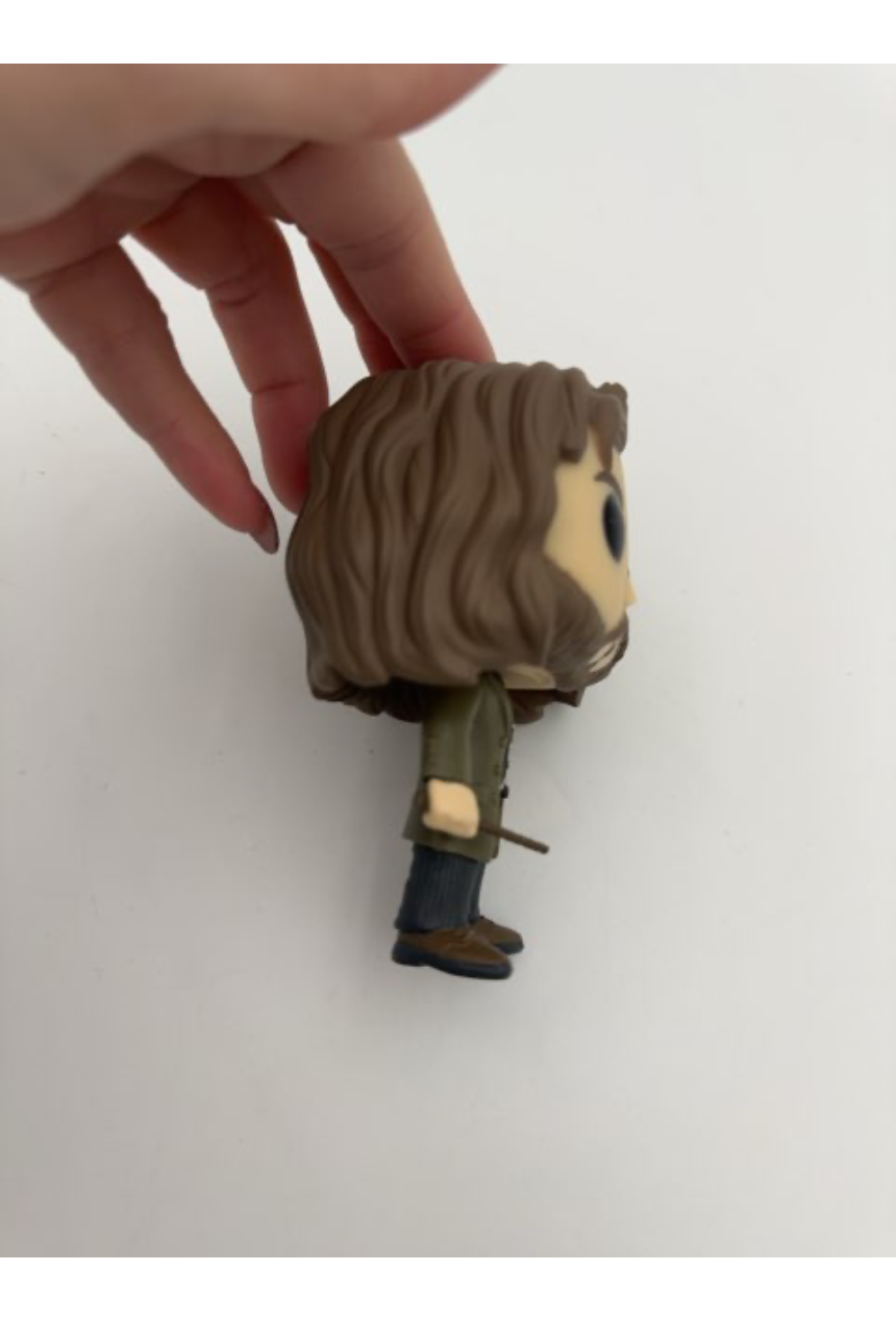 Sirius Black, Pop!