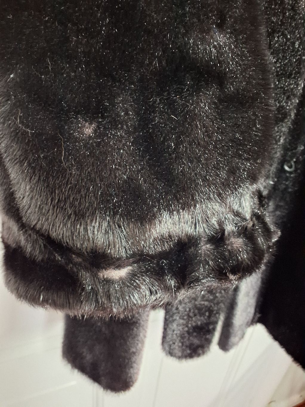 Ægte sælskindspels