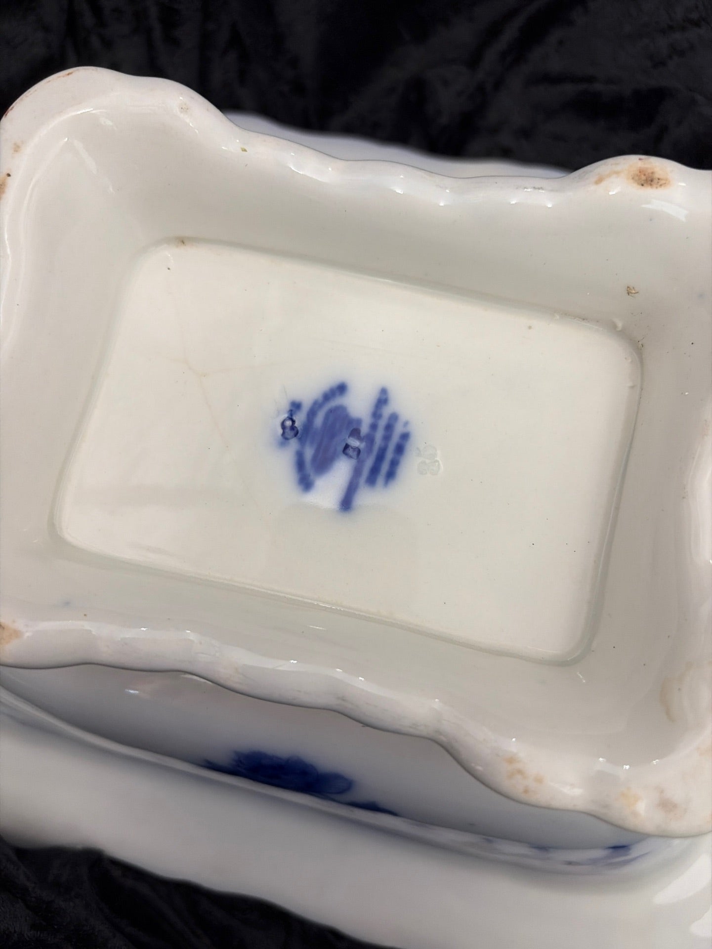 Wedgwood suppeterrin
