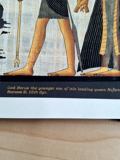 Papyrus billeder