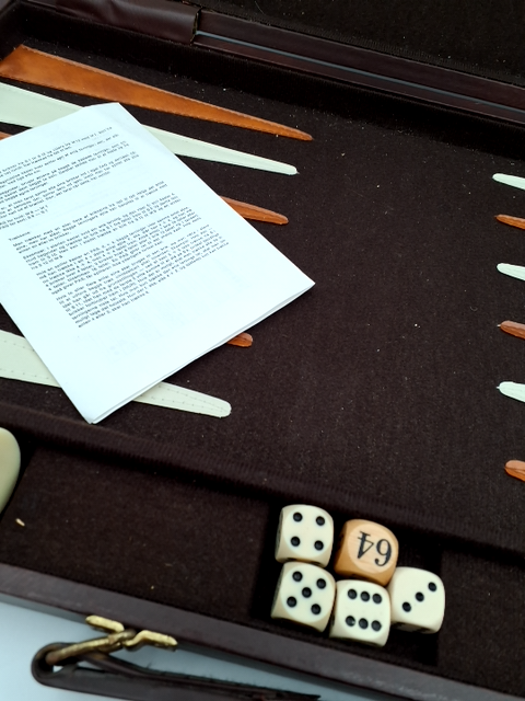 Backgammon kuffert