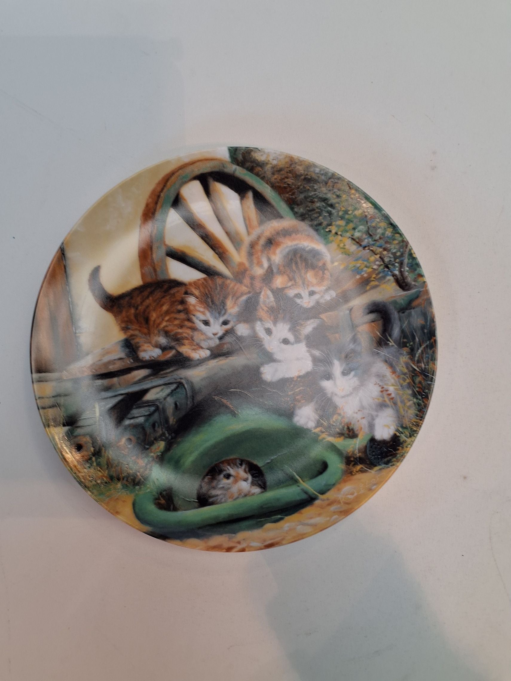 9 Wolfgang Keiser Katte Platte