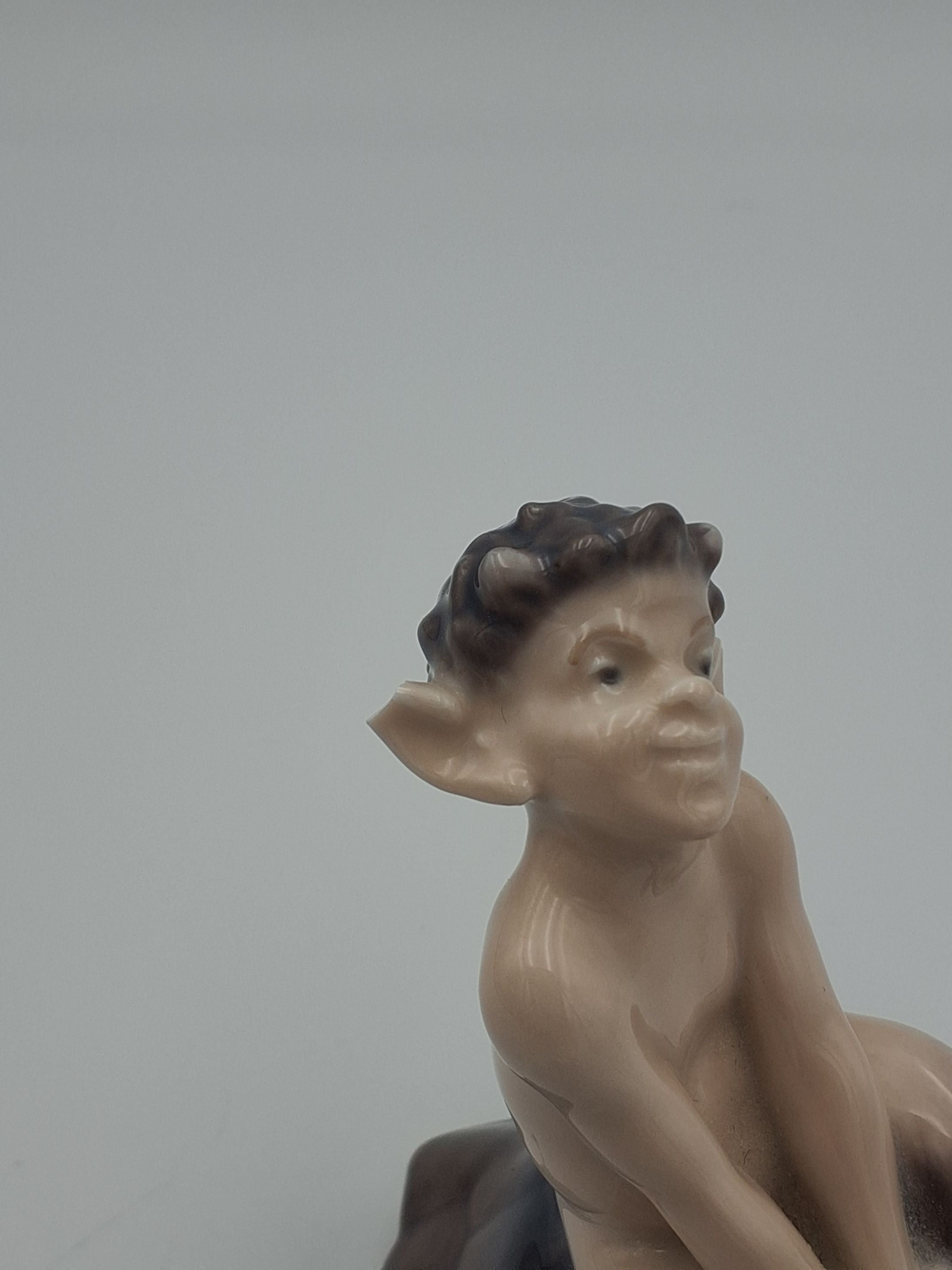 Faun på skildpadde