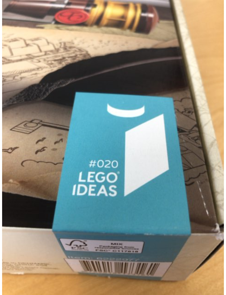 LEGO IDEAS' nr. 21313
