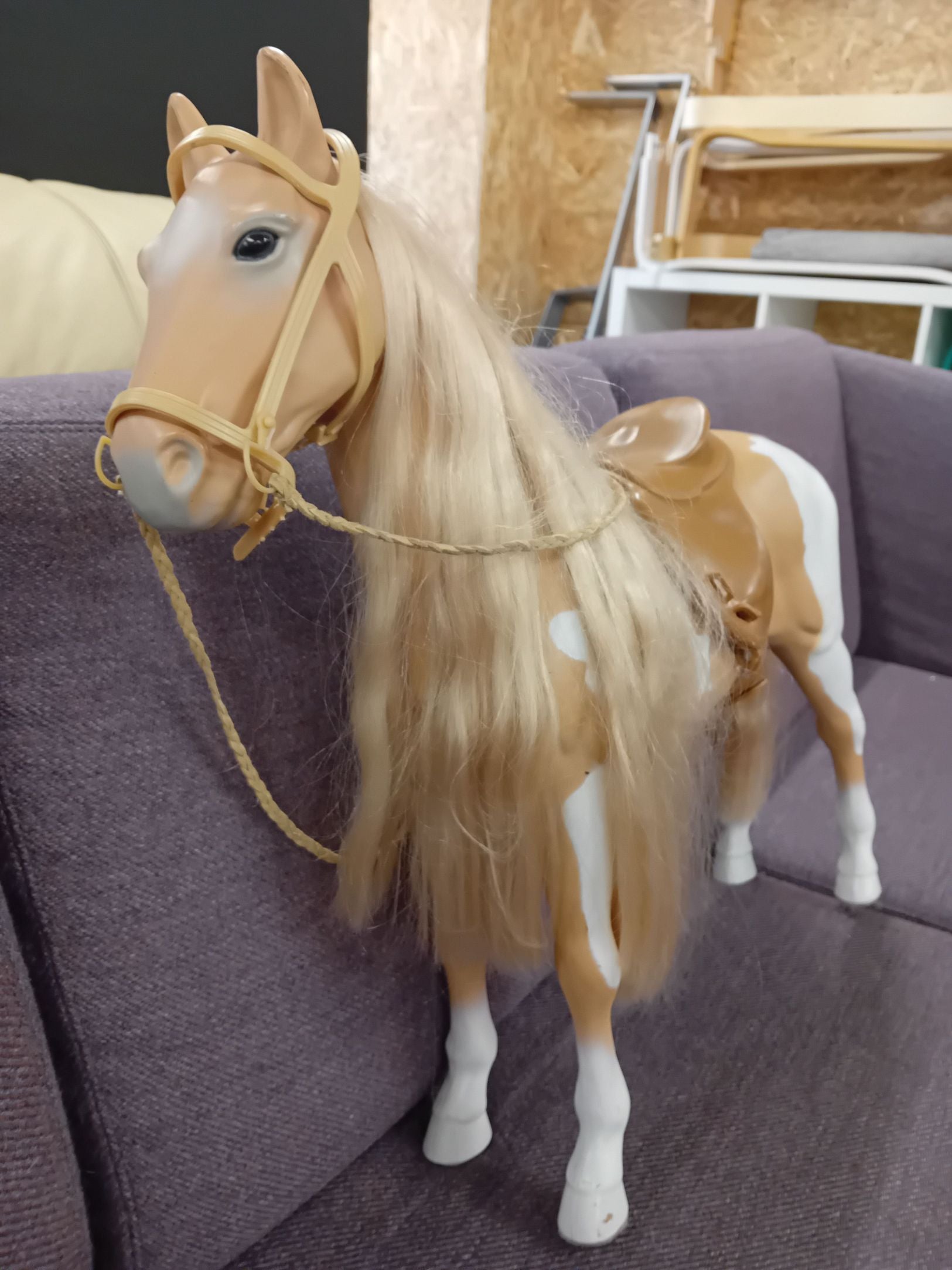 Hest