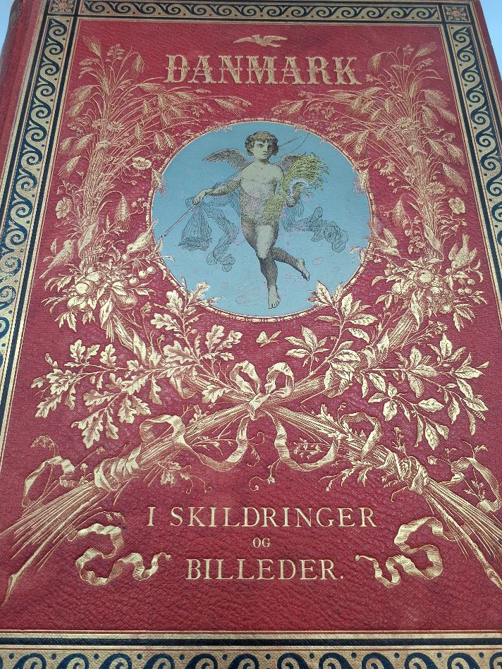 DANMARK I SKILDRING