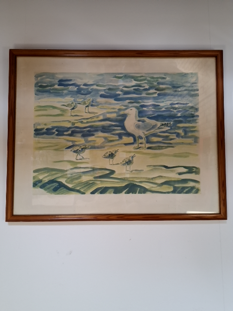 Plakat: Strandfugle