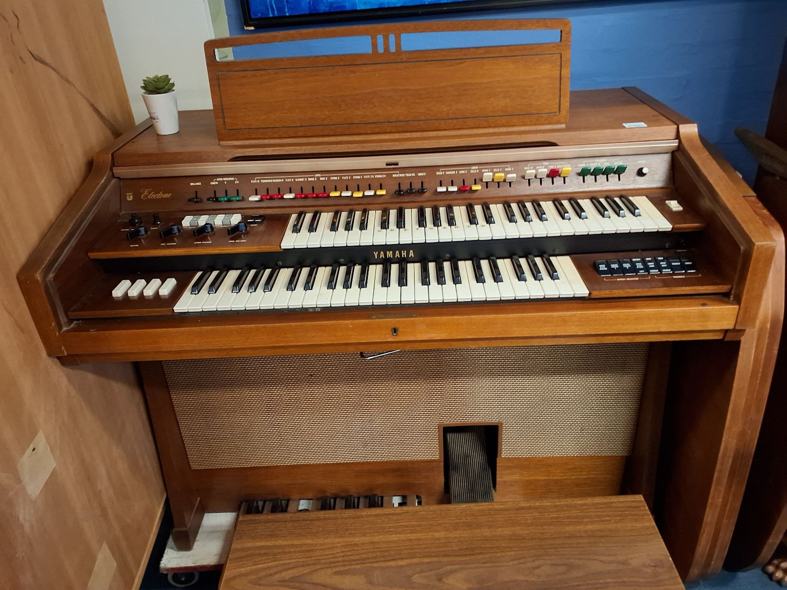 Orgel el