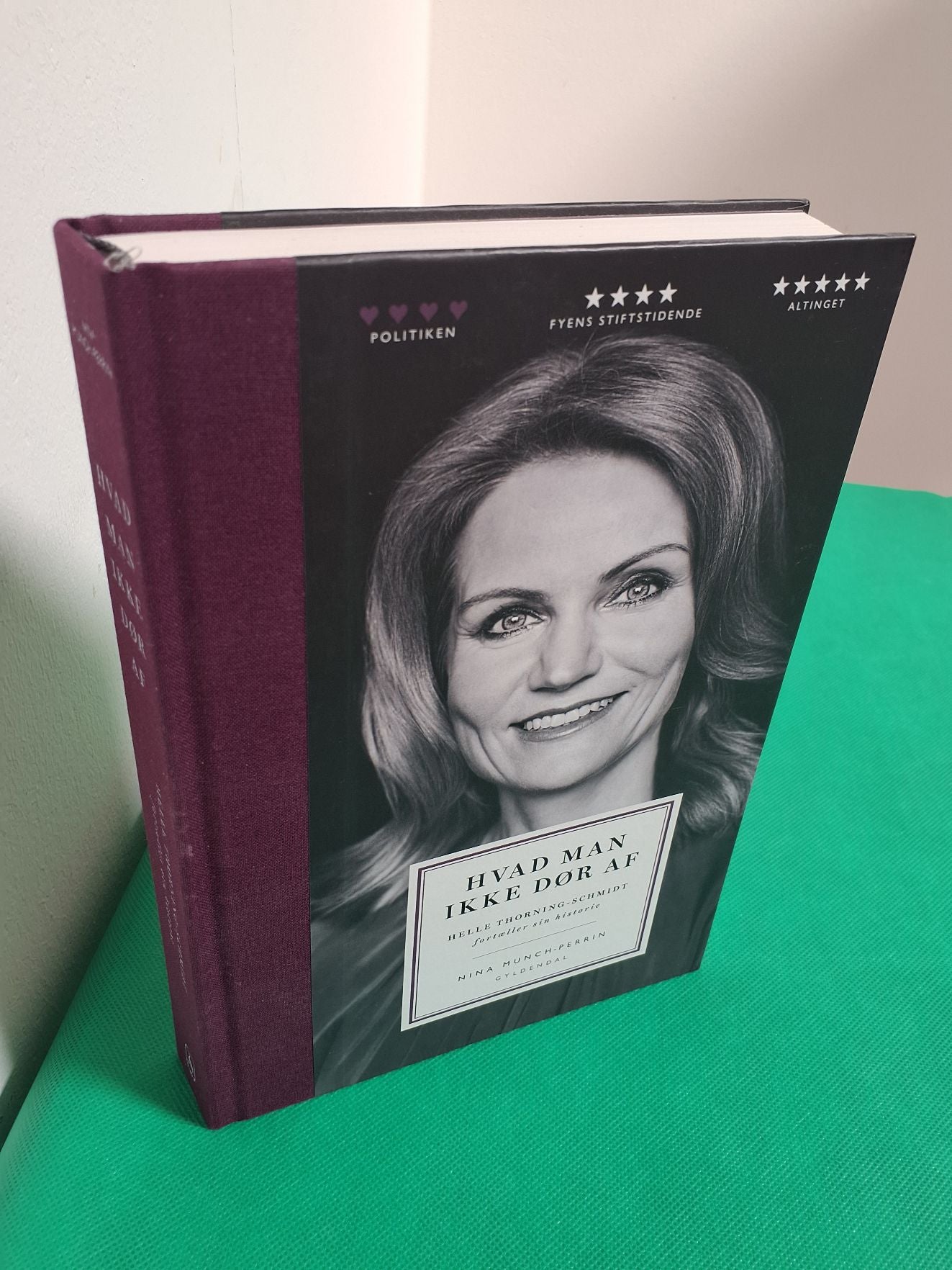 Helle Thorning-Schmidt: Hvad man ikke dør af