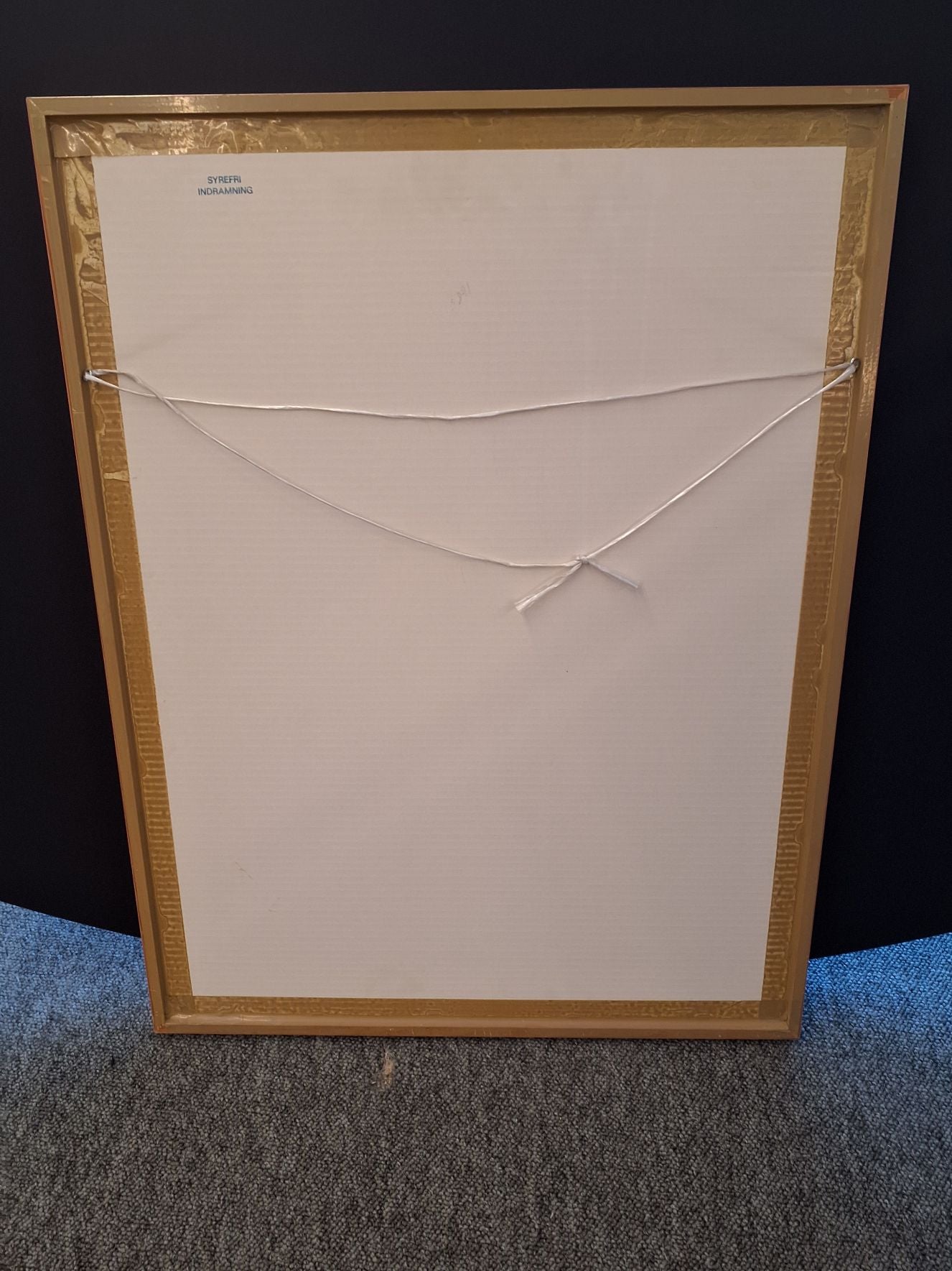 Farverige Fugle 2 - 9571