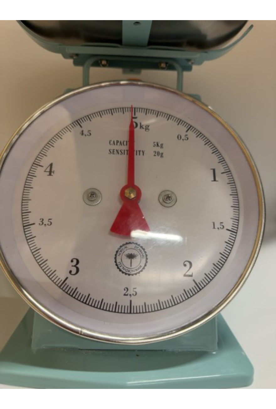 Vægt blå 5 kg