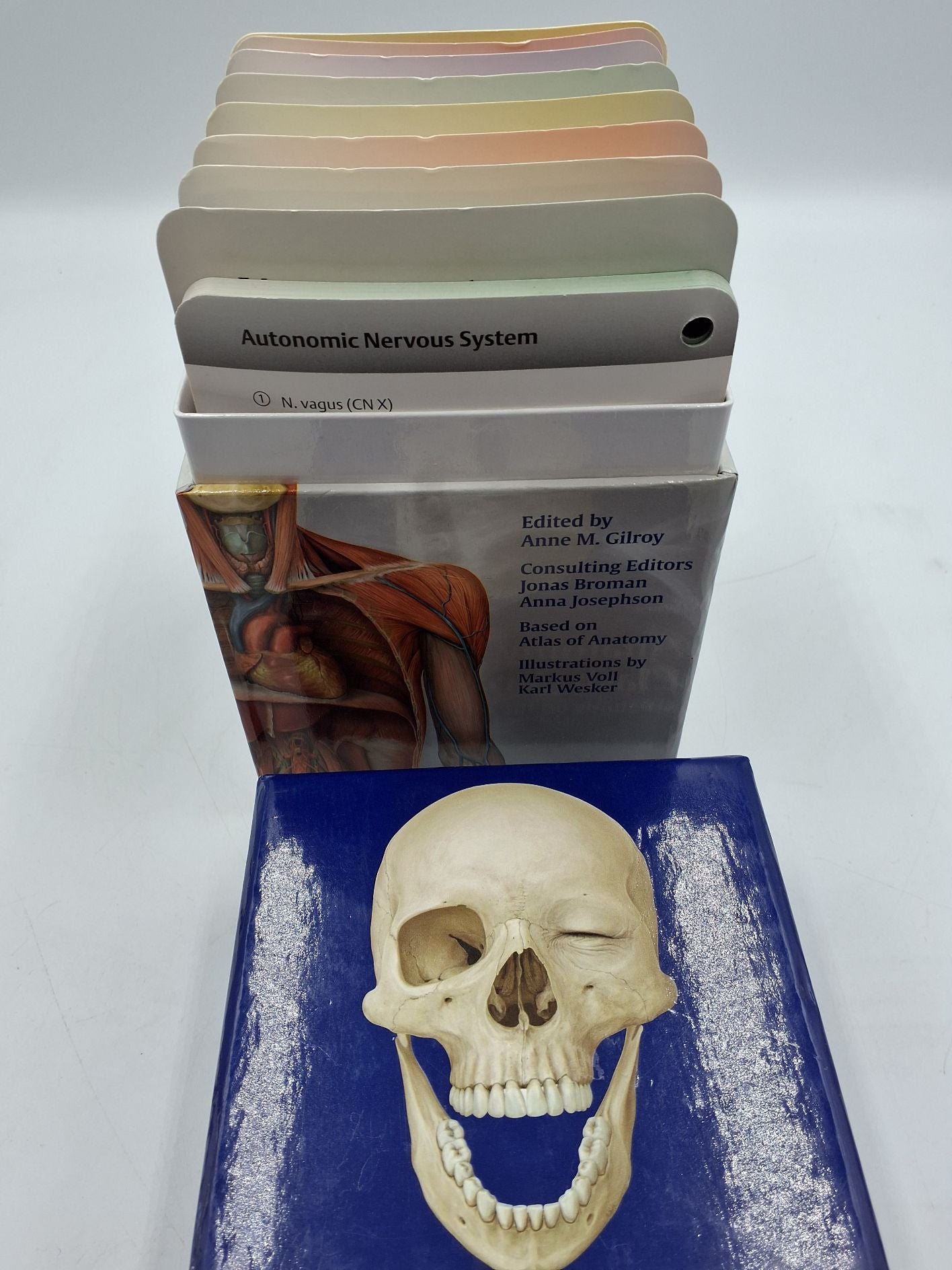 Anatomy Flash cards