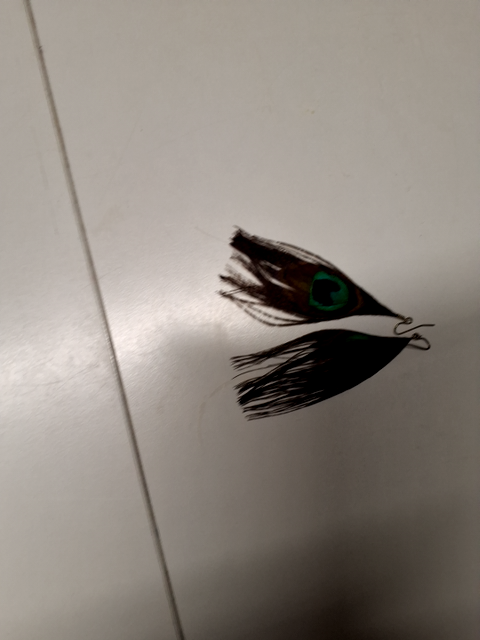 Øreringe