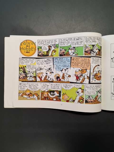 The days Are just packed A Calvin and Hobbes collection
