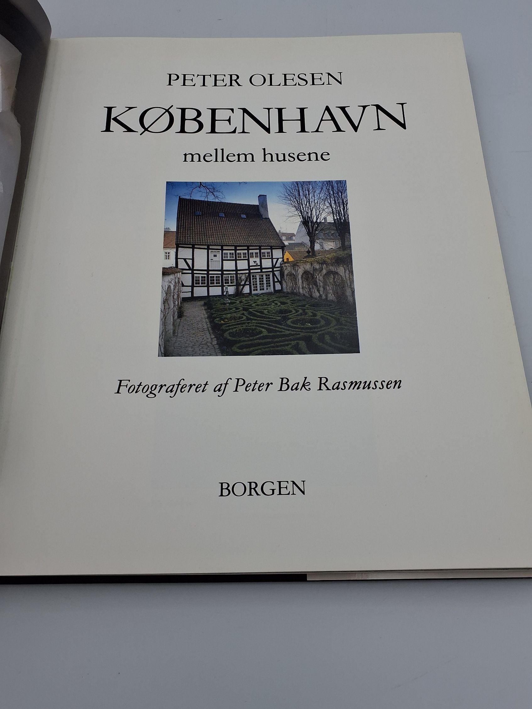 Bog: København mellem husene