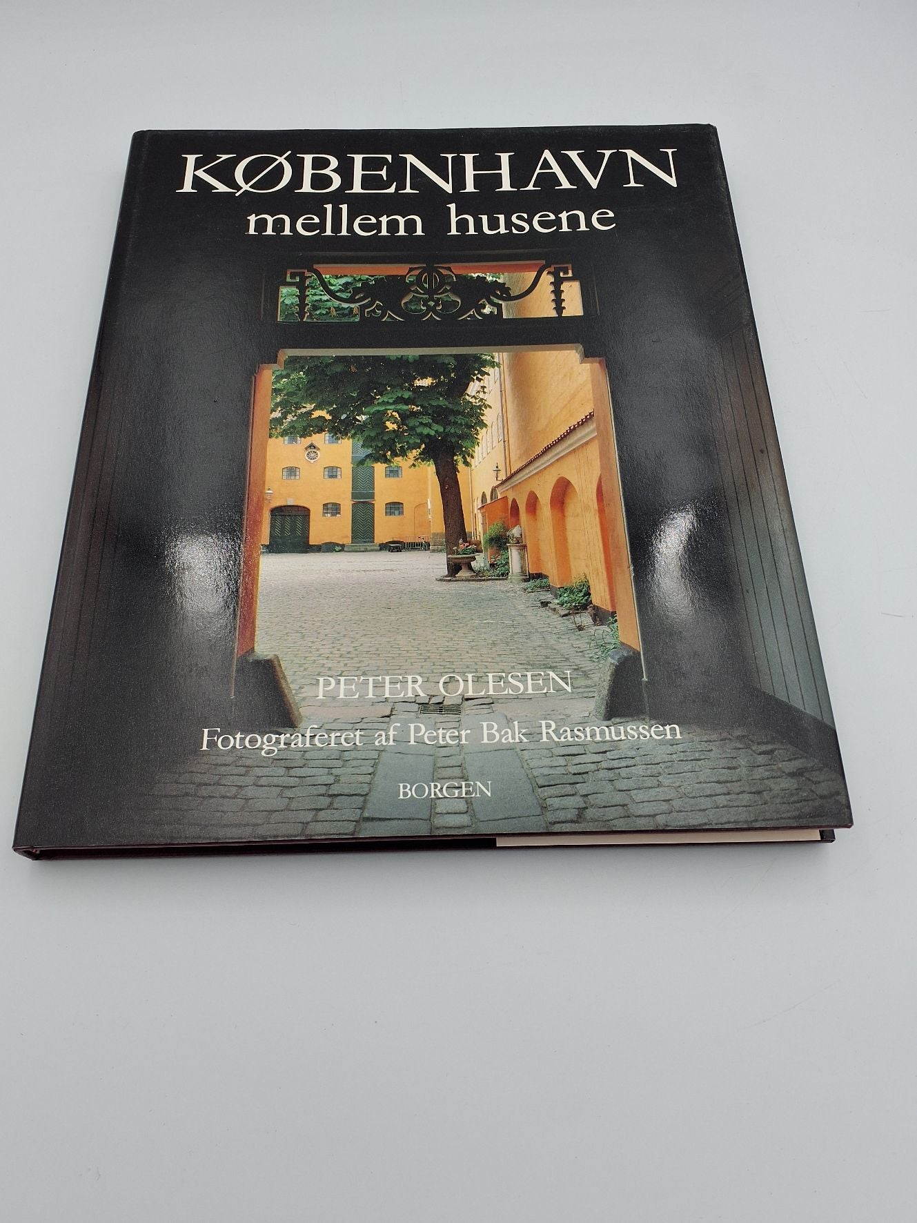 Bog: København mellem husene