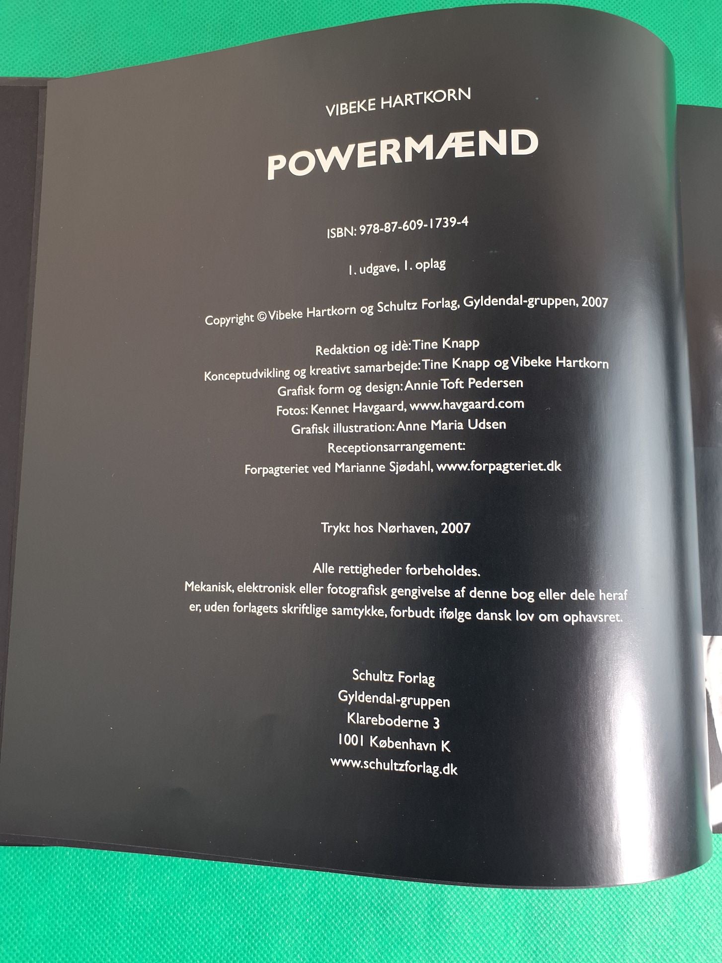 Powermænd af Vibeke Hartkorn