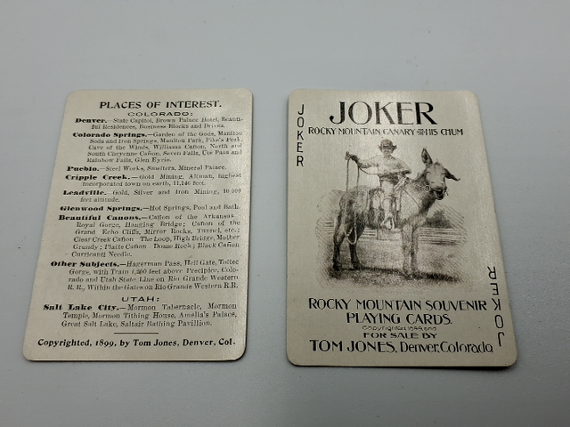 Vintage souvenir The Rocky Mountin playing cards