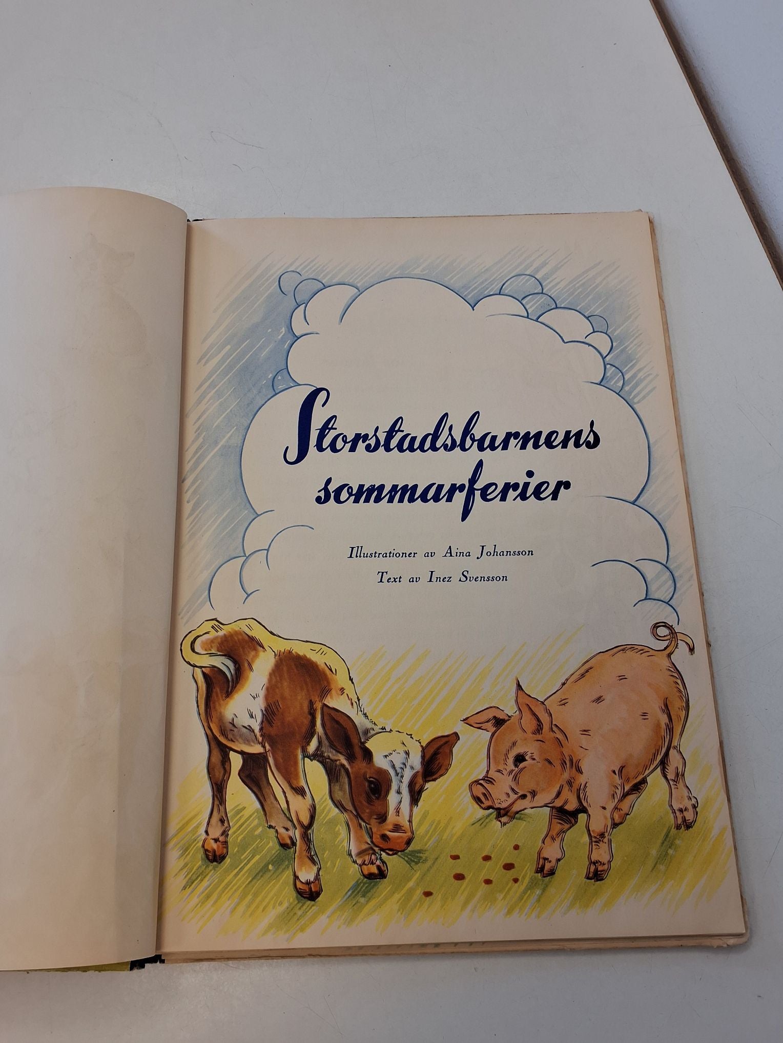 Storstadsbarnens sommerferie