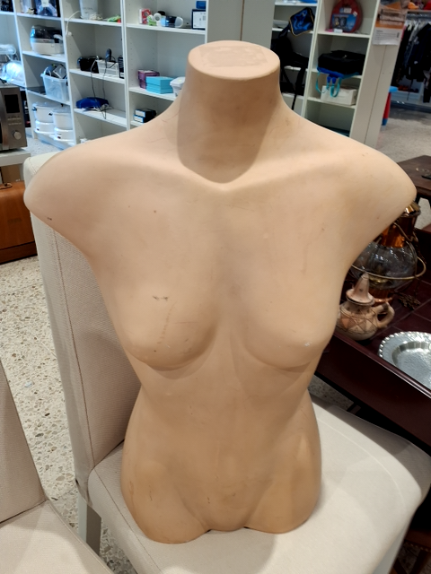 Torso mannequin