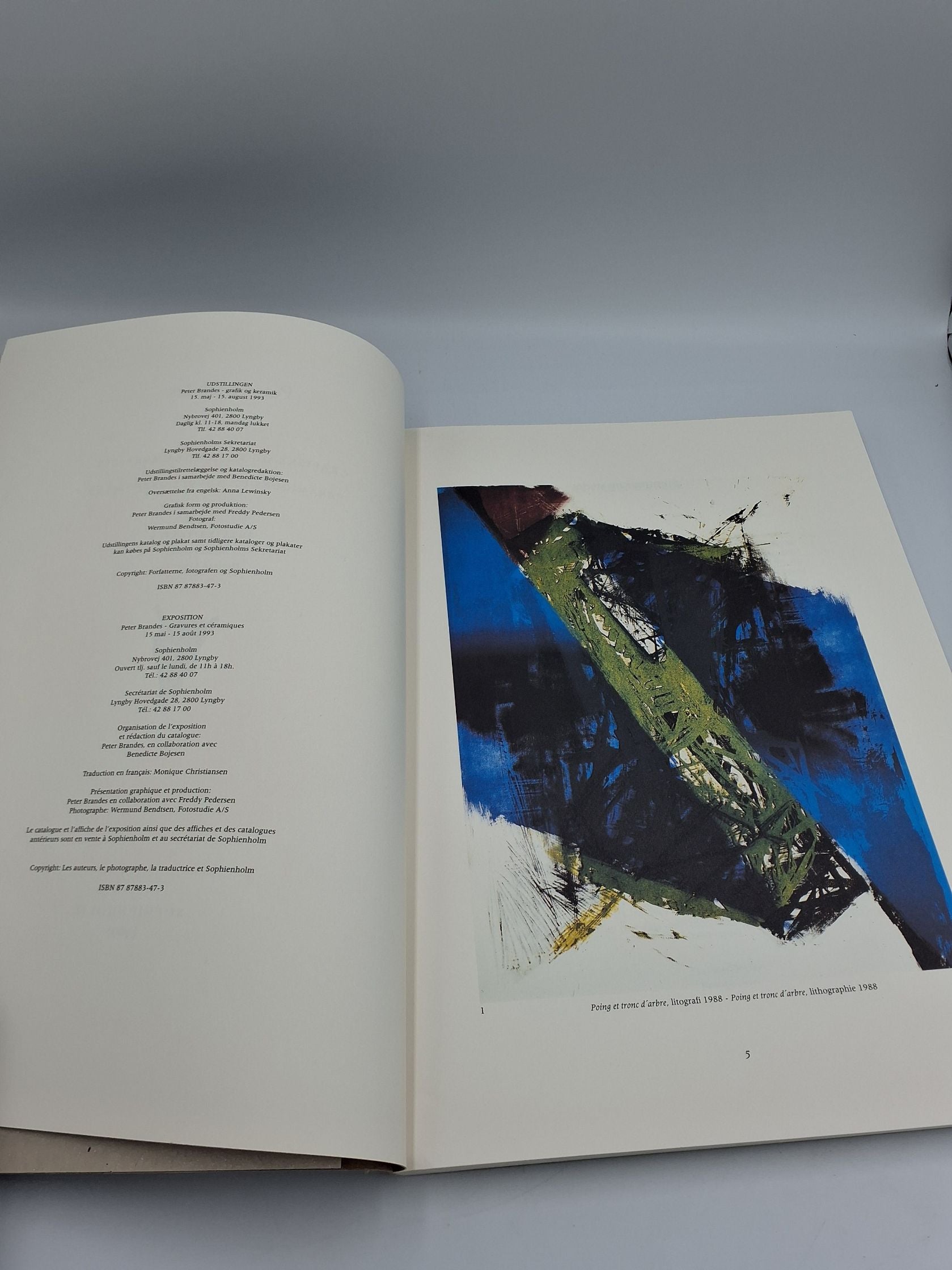 Bog: Peter Brandes