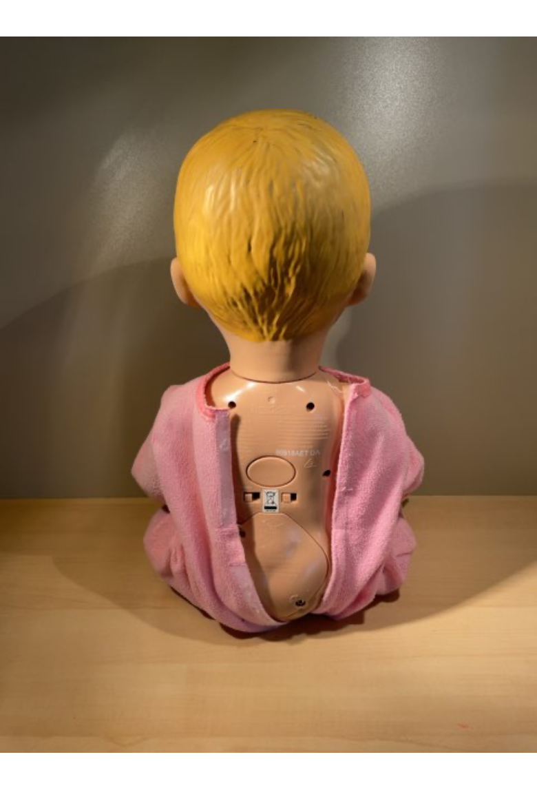 Luvabella Interactive Baby Doll