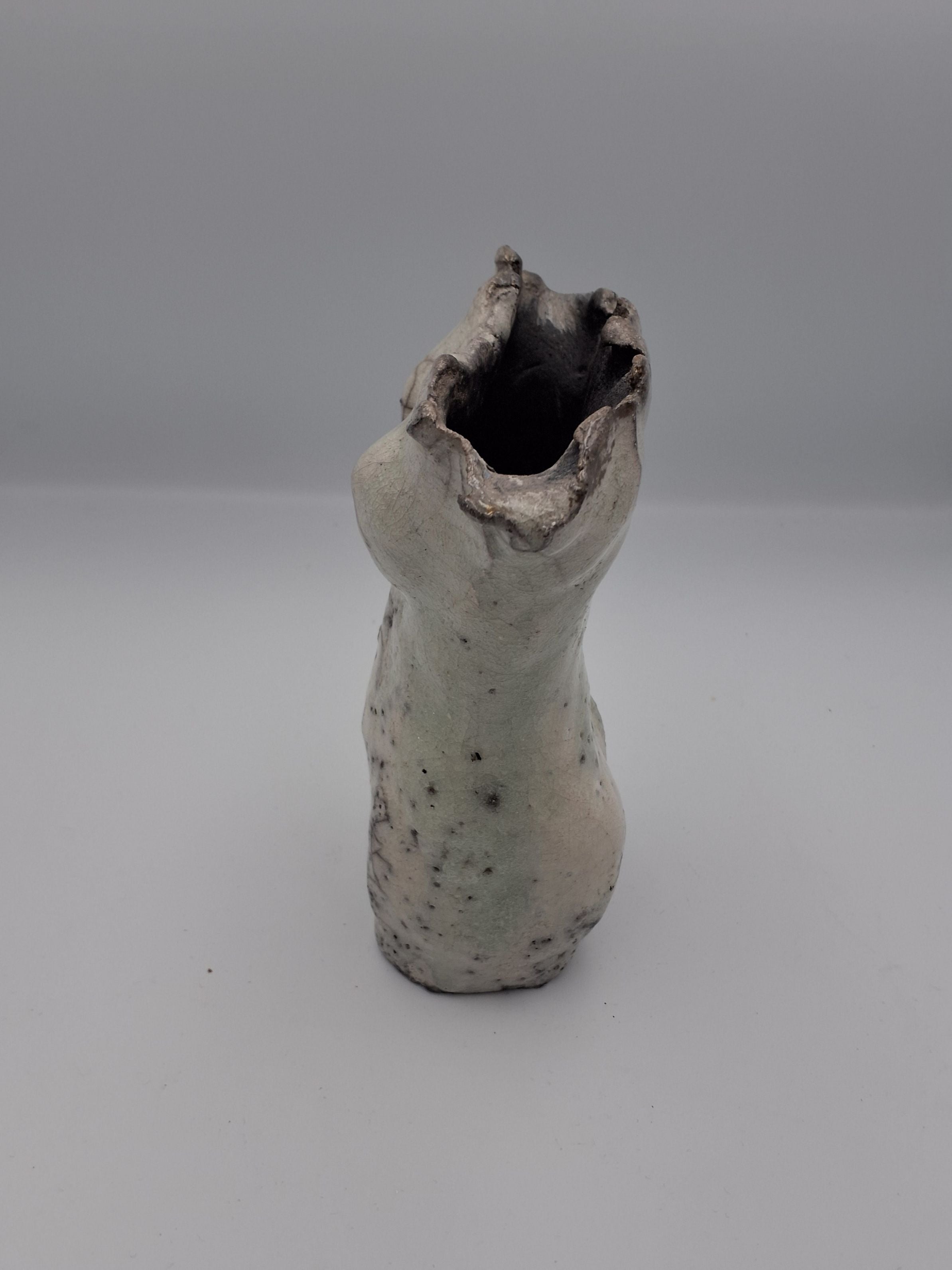Raku Torso