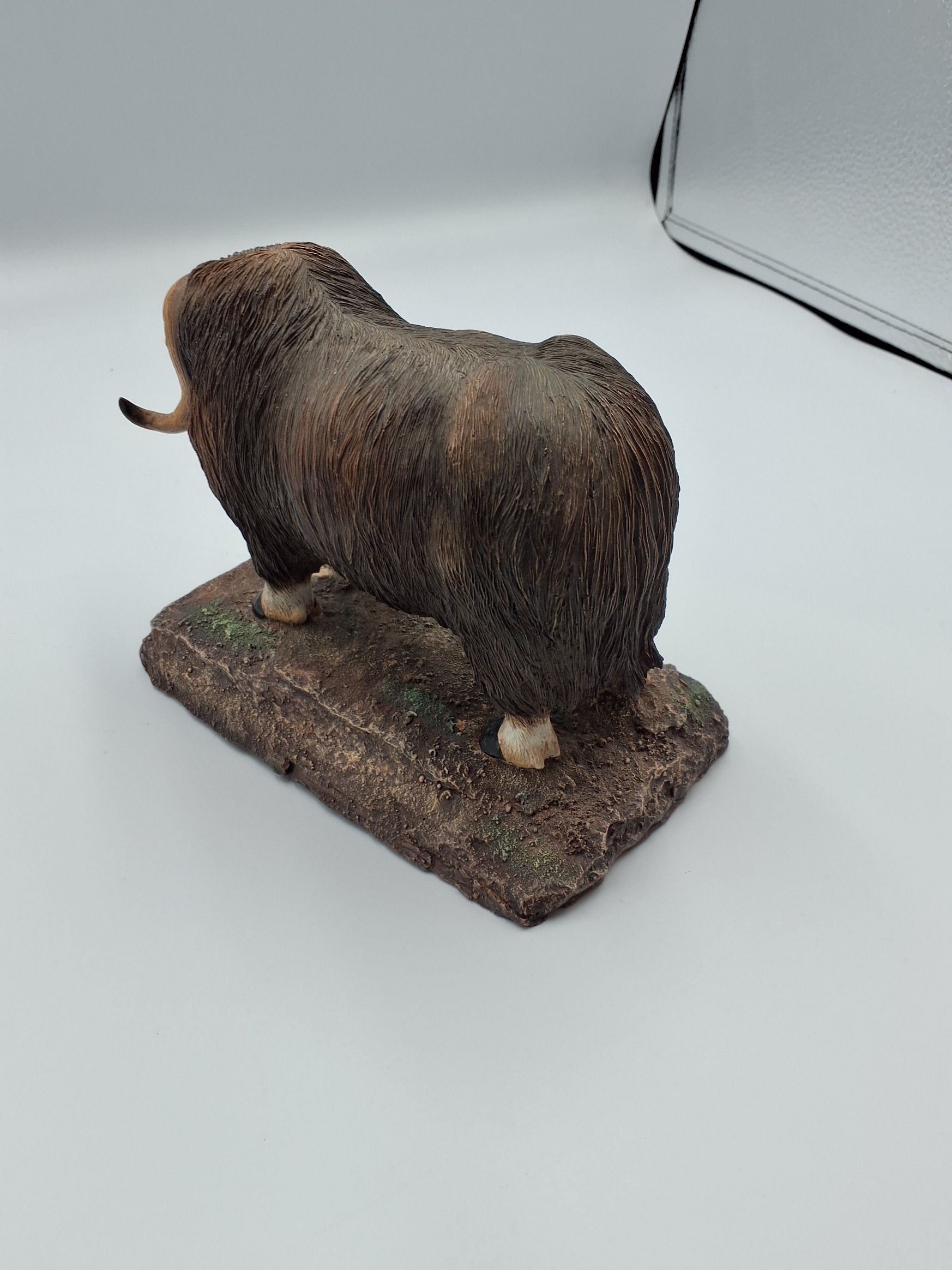 Bison okse