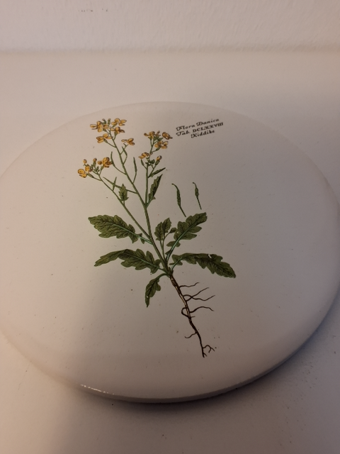 3 Flora Danica platter + Bog