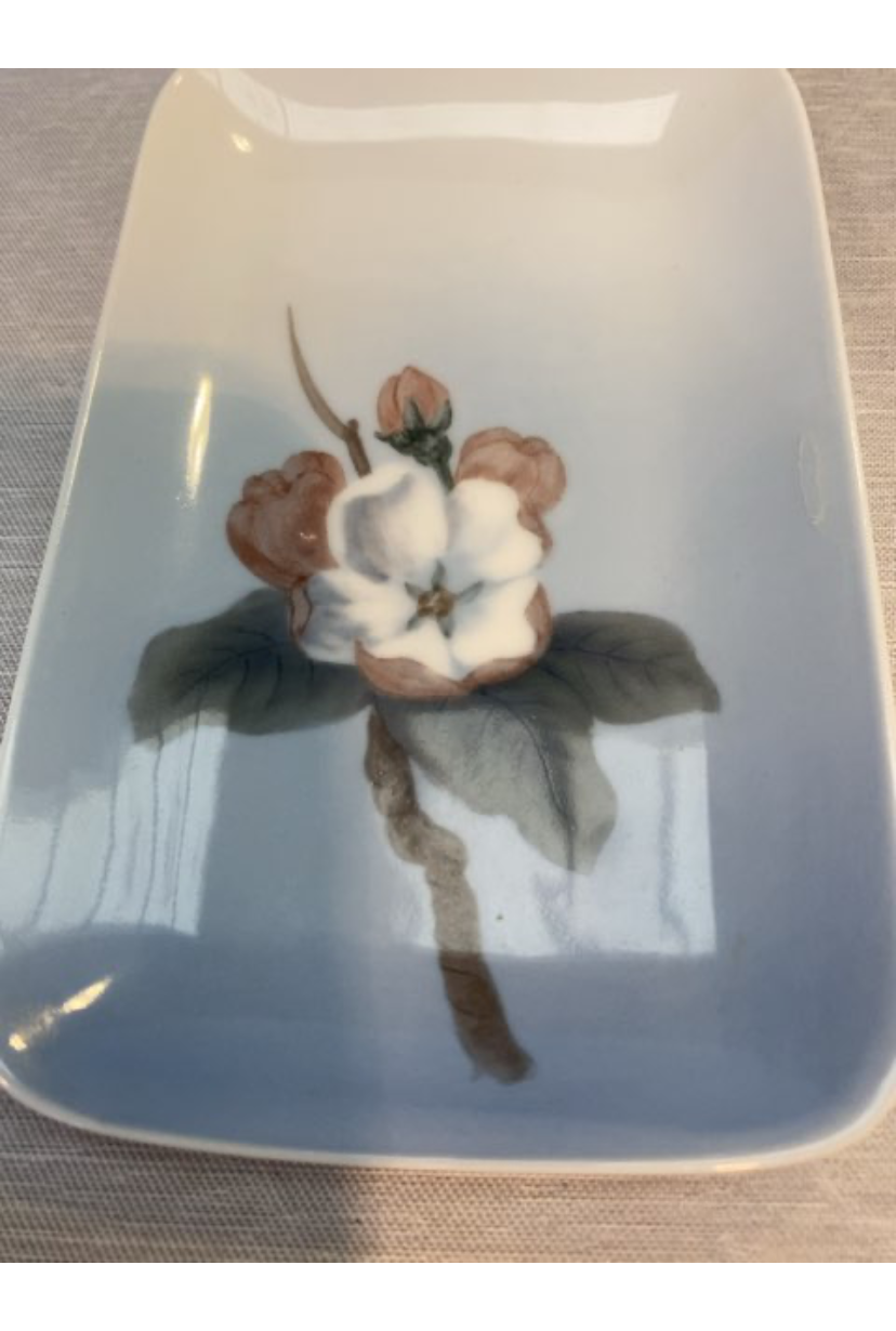 B&G lille fad