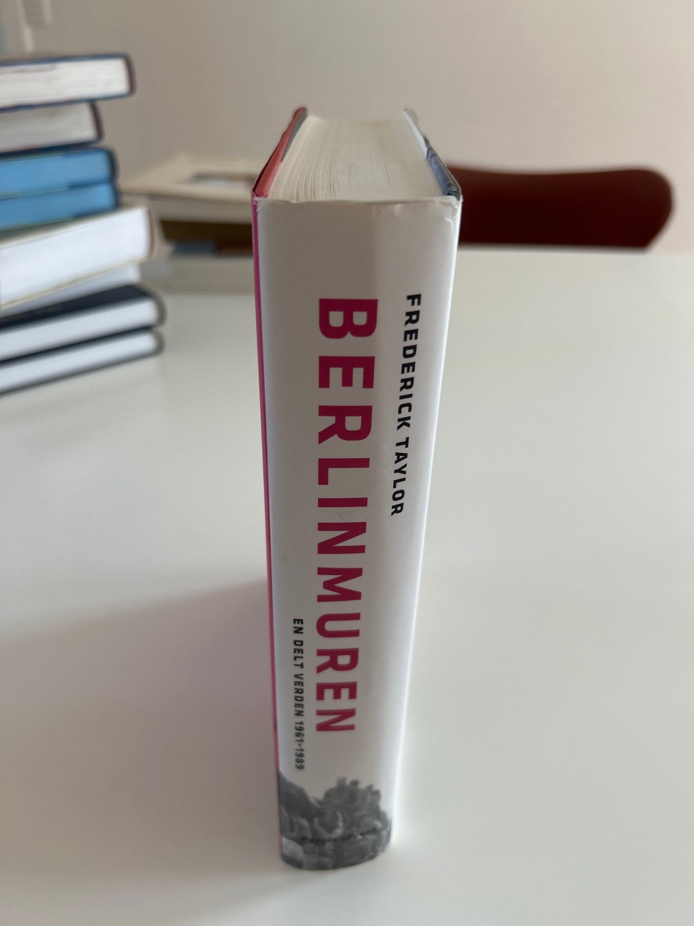 Berlin muren af Frederic Taylor