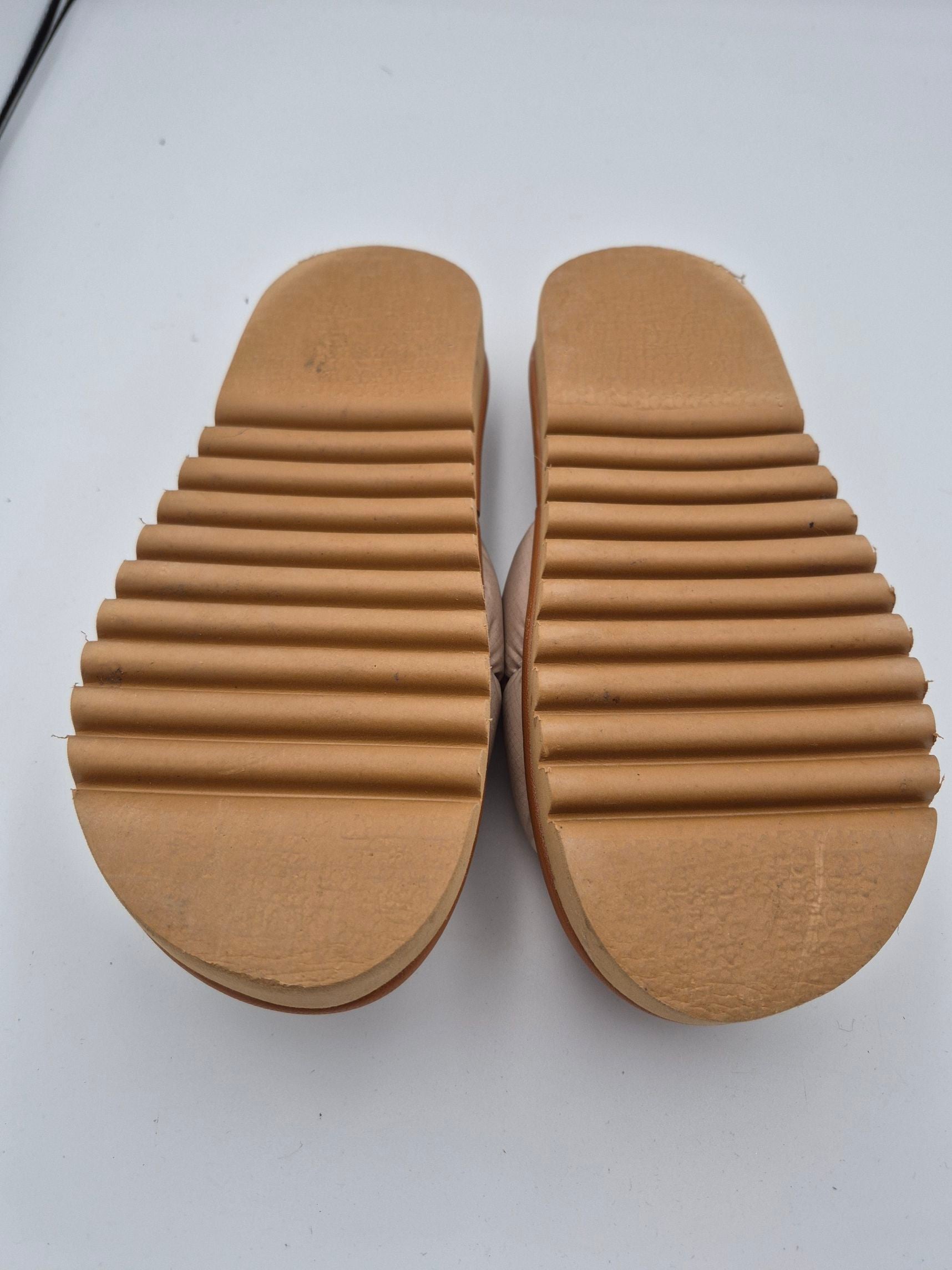 Fluies slipper