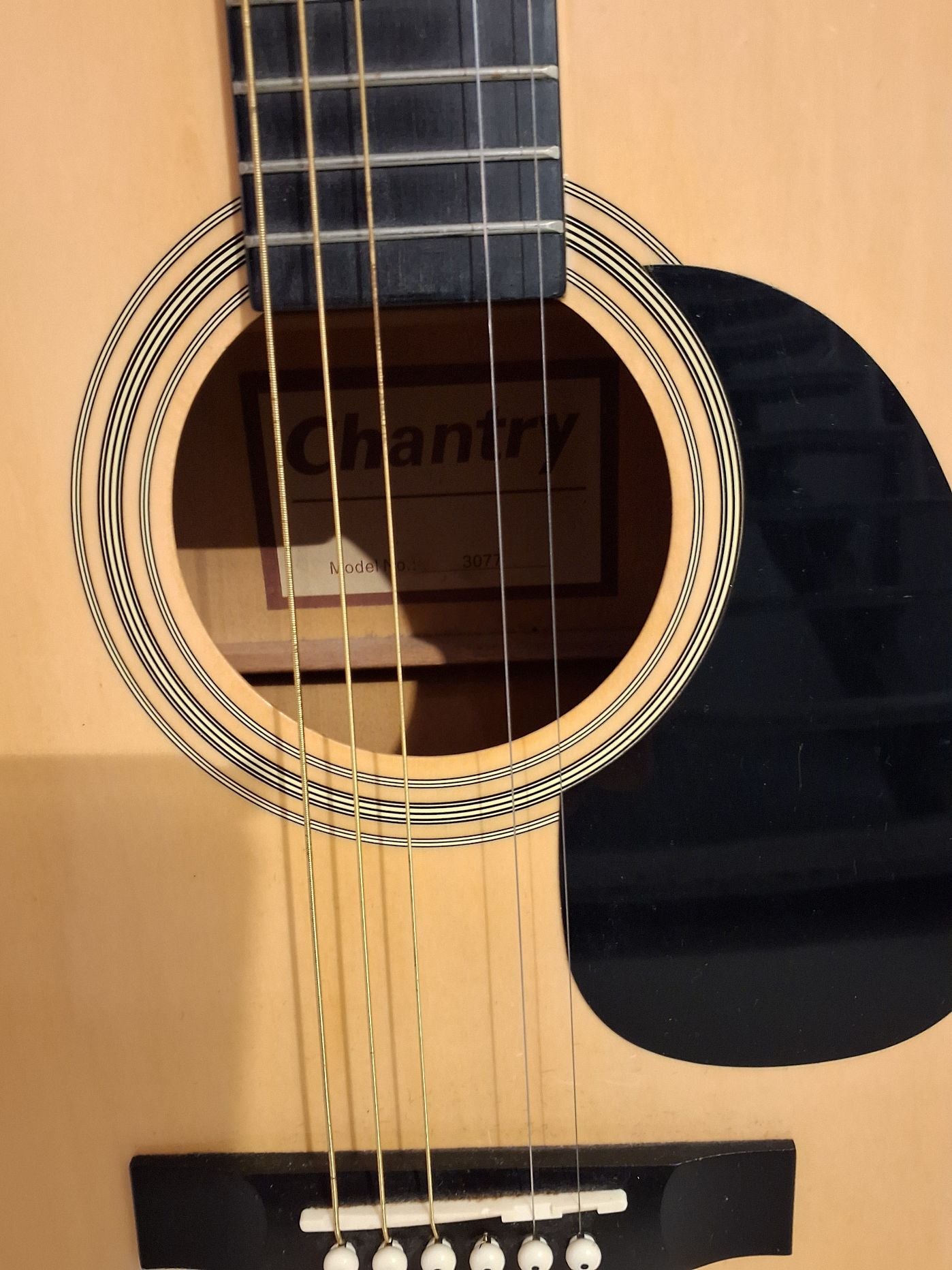 Chantry akustisk guitar