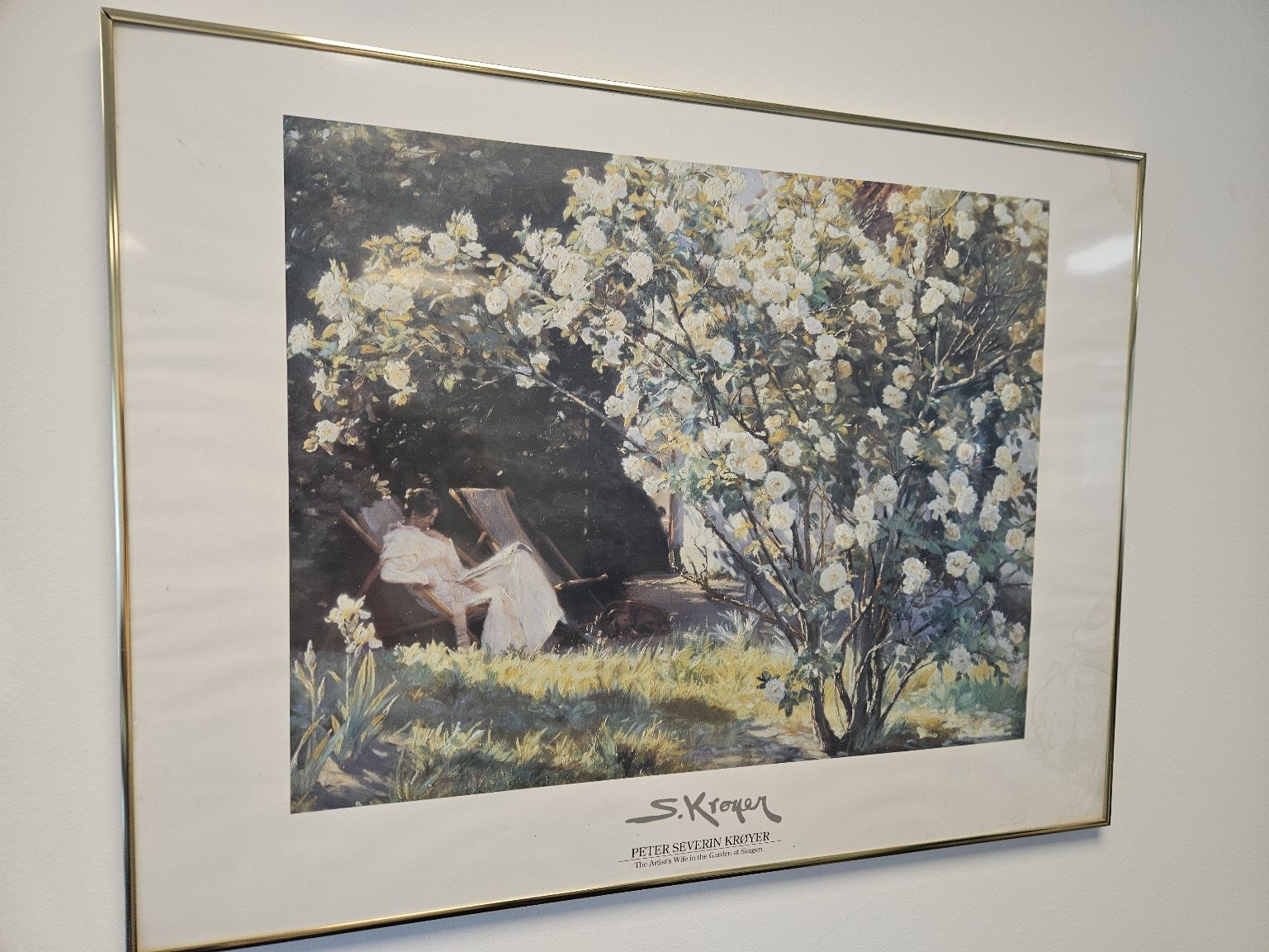 PS Krøyer Roser - Plakat