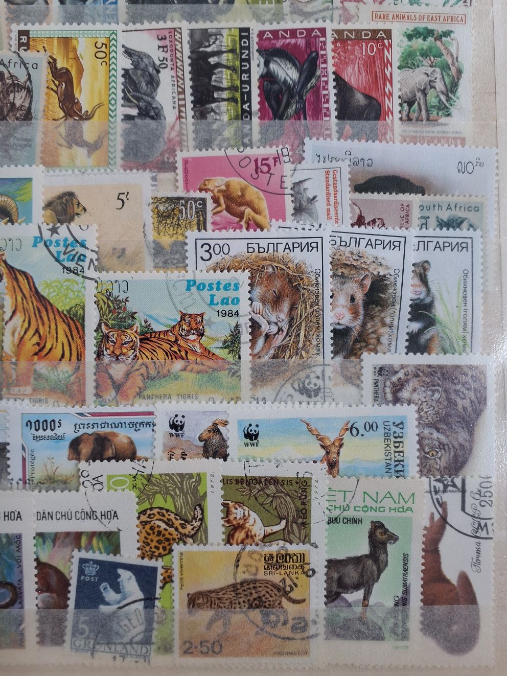 100 frimærker Pattedyr
