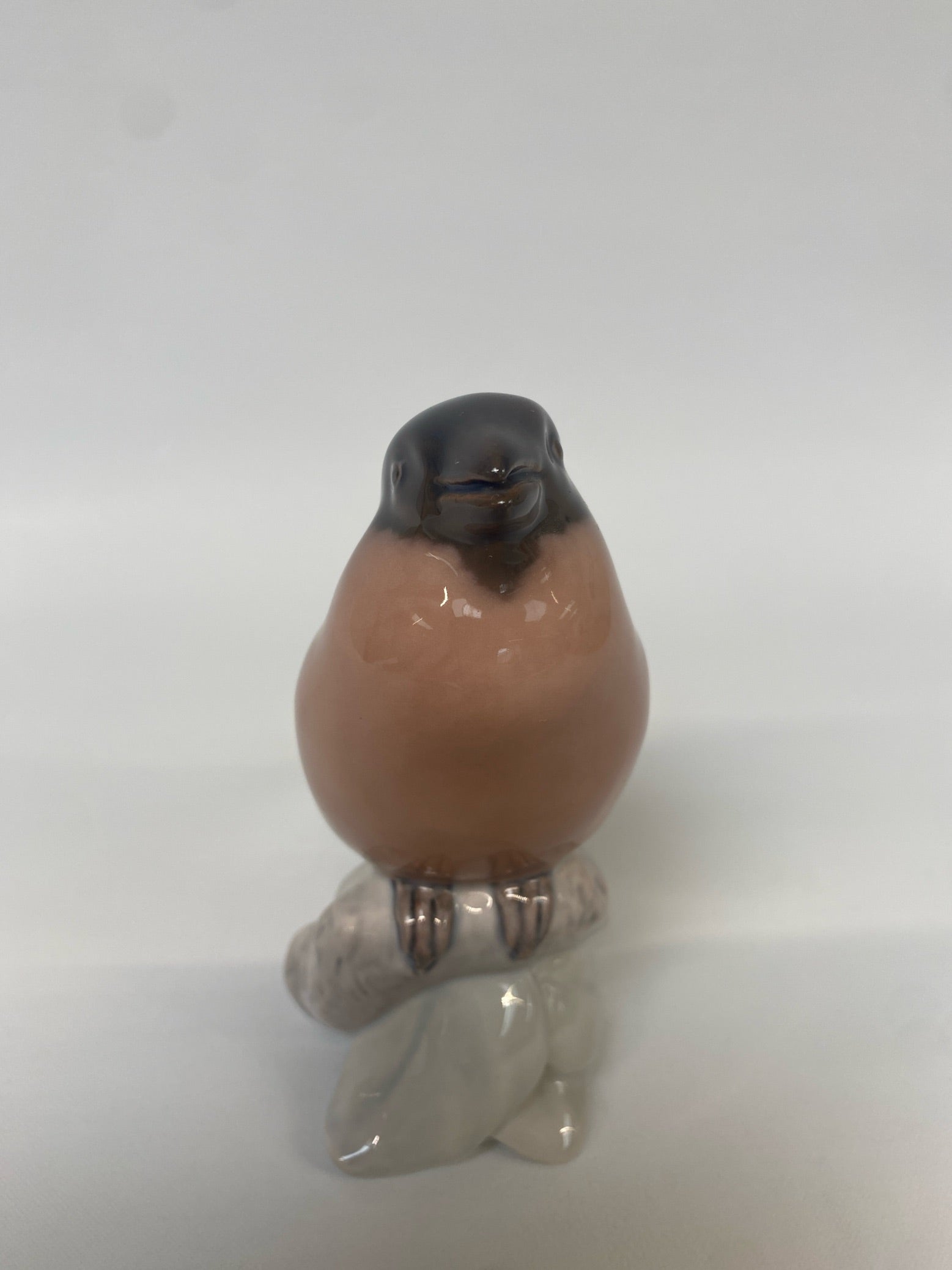 Fugl B&G