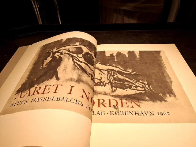 Bog: Aaret i Norden. Bo Carpelan, Frank Jæger, Vilhelm Moberg, Tarjei Vesaas