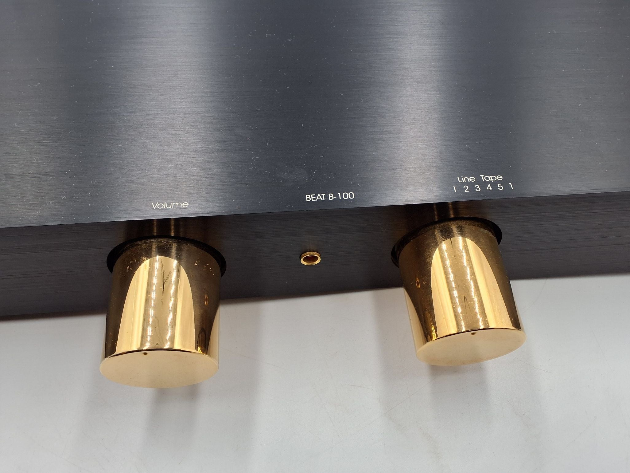 Densen Beat B-100