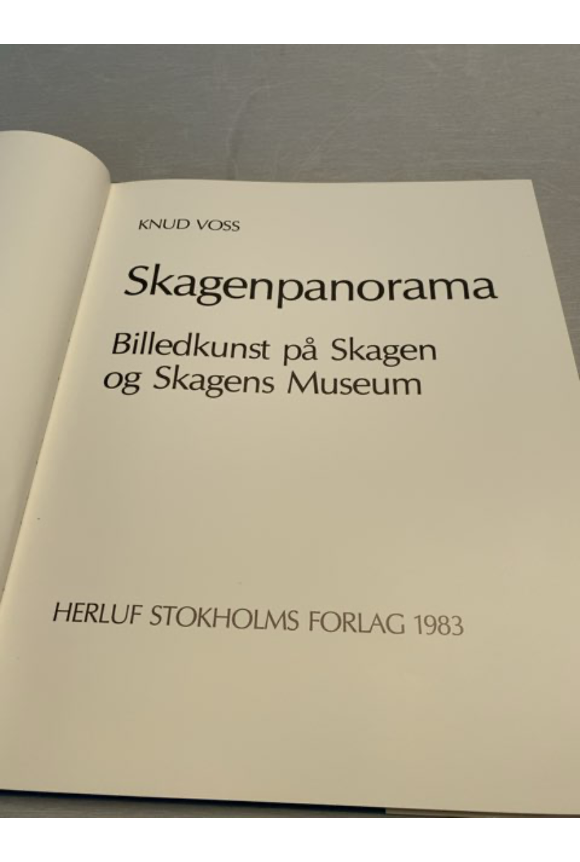 Skagen panorama