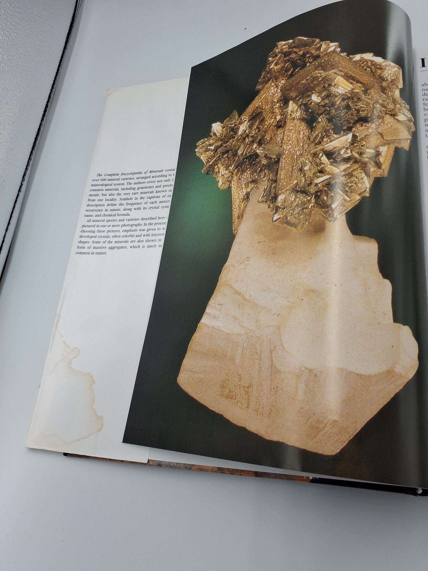 Bog: Minerals